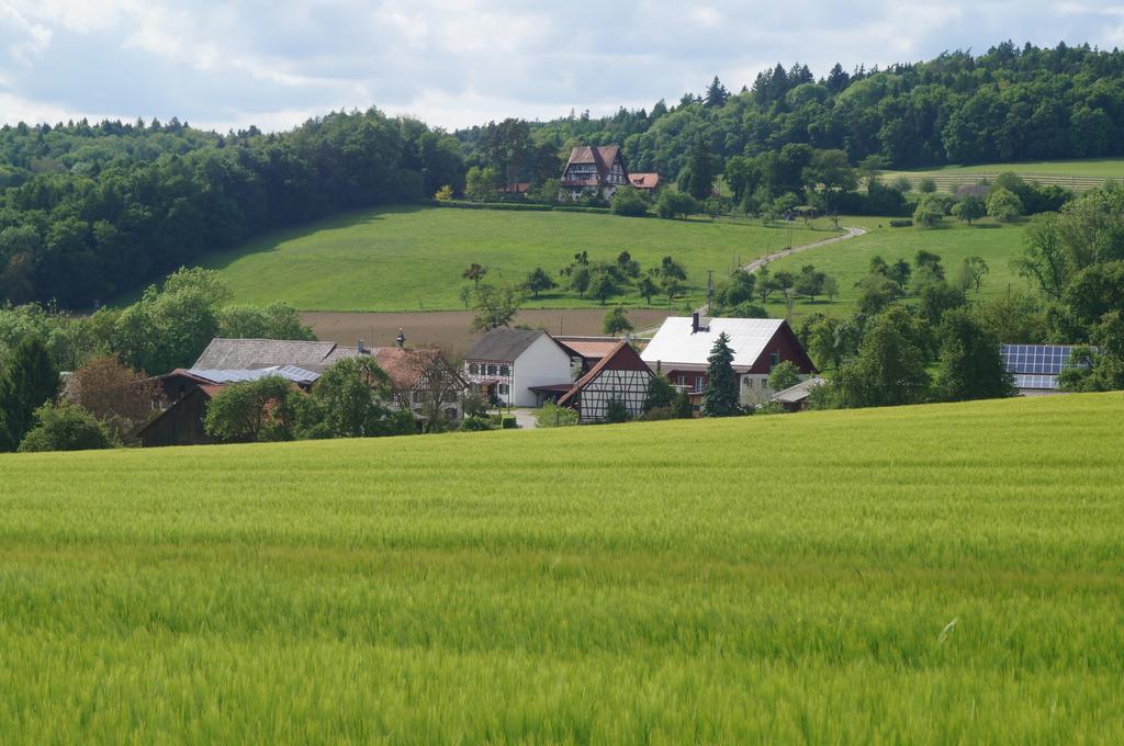 Bolderhof Villa Hemishofen Exteriör bild